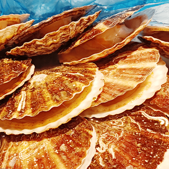 地元長野の新鮮な食材を使用