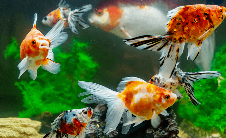 シーン別ご利用方法